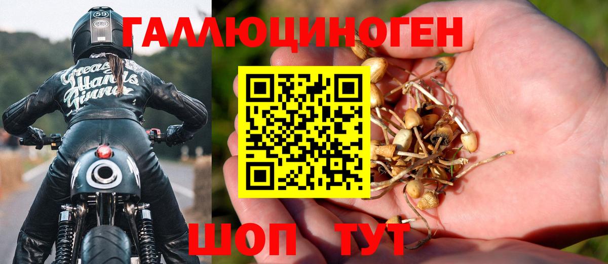 купить   Вход с VPN  Нижнеудинск  Галлюциногенные грибы GOLDEN TEACHER 