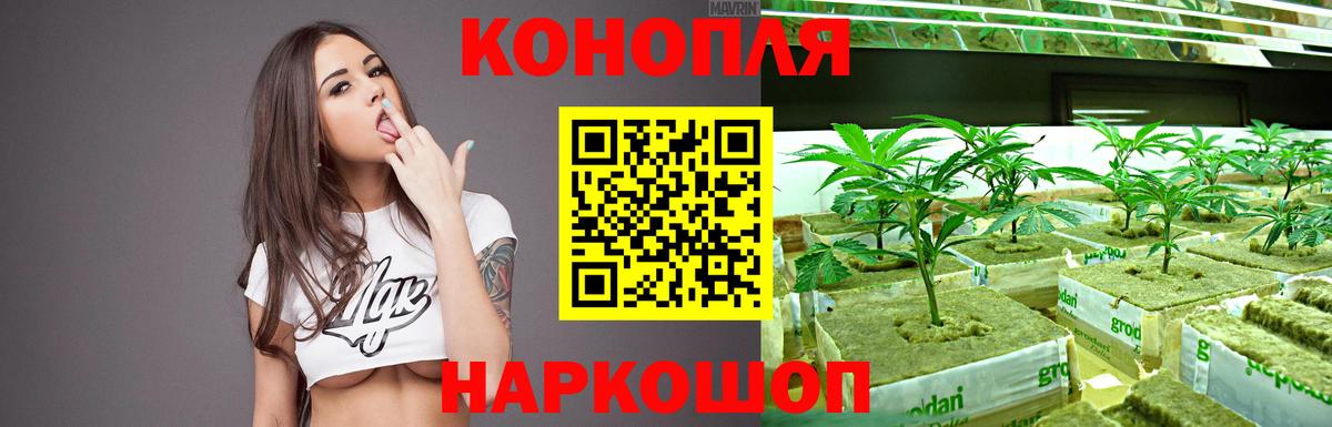 Каннабис OG Kush Нижнеудинск